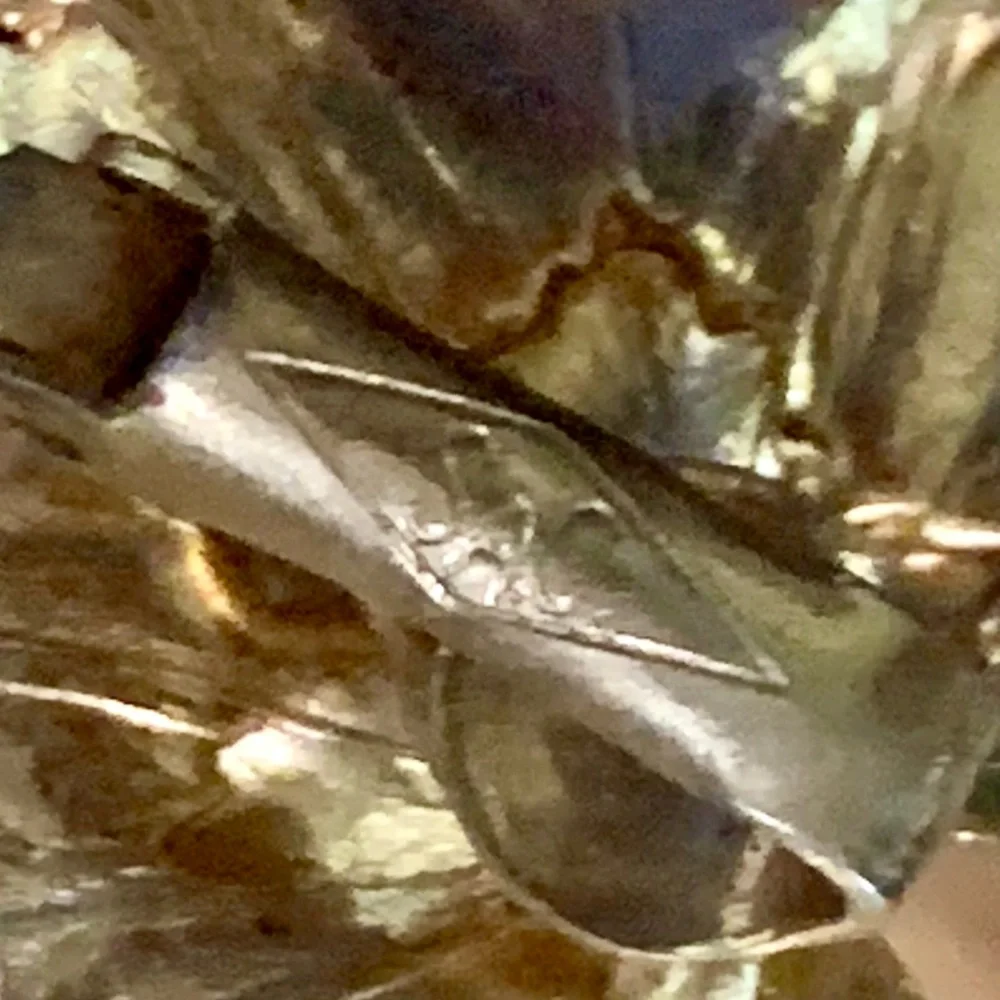 1956 “Golden Maple” Signed SAC Gold Tone Layered Brooch & Clip On Earring Set - Picture 8 of 11